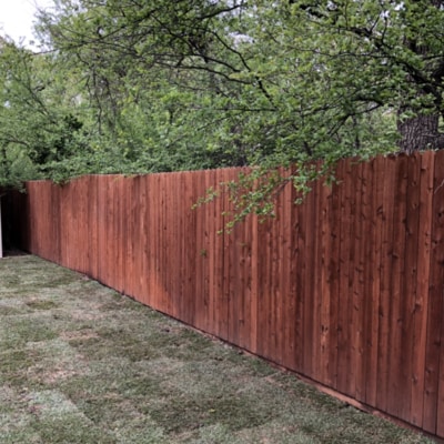 A 6 foot wooden fence in a backyard that recently had sod installed.